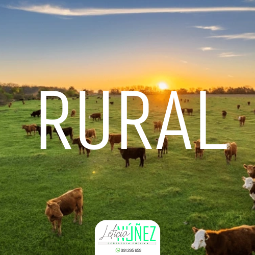 estudio contable leticia nuñez mautone (2)